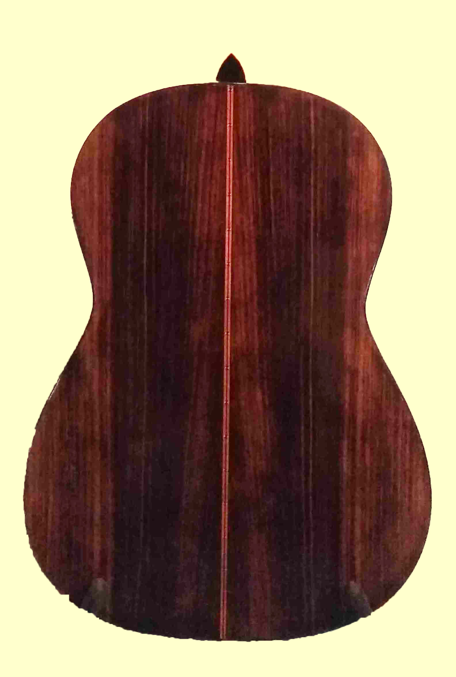thompson13c back